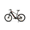 bicismart2