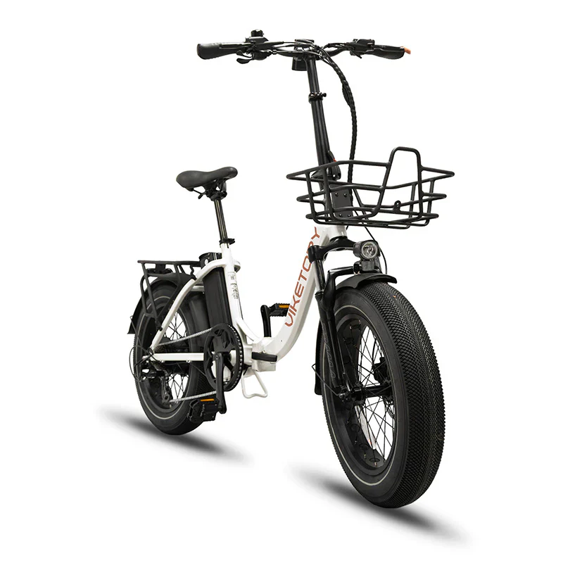 ebike-viketory